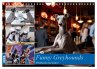 Funny Greyhounds - Windhunde mal anders... - Bild 1