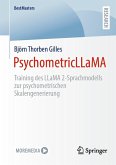 PsychometricLLaMA (eBook, PDF)