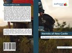 Hermits of New Castle