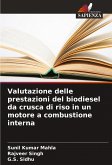 Valutazione delle prestazioni del biodiesel da crusca di riso in un motore a combustione interna