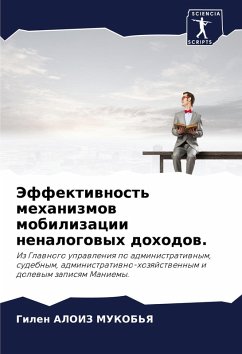 Cover Jeffektiwnost' mehanizmow mobilizacii nenalogowyh dohodow.