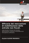 Efficacia dei meccanismi di mobilitazione delle entrate non fiscali. Efficacia dei meccanismi di mobilitazione delle entrate non fiscali.