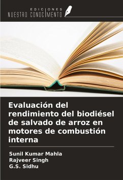 Cover Evaluación del rendimiento del biodiésel de salvado de arroz en motores de combustión interna