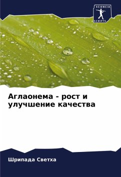 Cover Aglaonema - rost i uluchshenie kachestwa