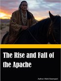 The Rise and Fall of the Apache (eBook, ePUB)