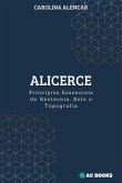 Alicerce (eBook, ePUB)