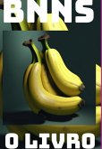 Bnns: O Livro (eBook, ePUB) Bnns: O Livro (eBook, ePUB)