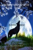 Momentos Poéticos (eBook, PDF)