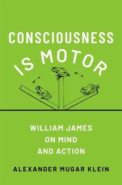 Cover Consciousness Is Motor (eBook, ePUB)