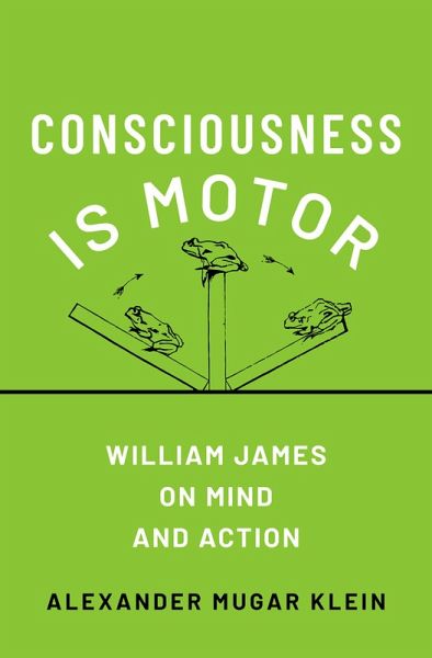 Consciousness Is Motor (eBook, ePUB) Consciousness Is Motor (eBook, ePUB)