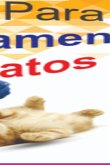 Guia De Adestramento Para Gatos (eBook, PDF)