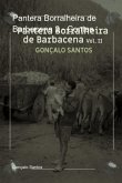 Pantera Borralheira De Barbacena 2 - Contos (eBook, ePUB)
