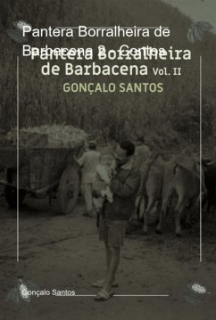 Pantera Borralheira De Barbacena 2 - Contos (eBook, ePUB) - Santos, Gonçalo