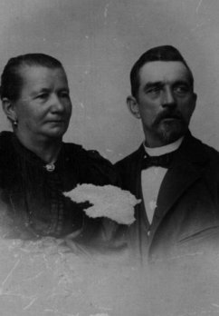 Cover Família, O Ramo Que Pertenço - (eBook, ePUB)