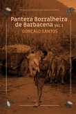 Pantera Borralheira De Barbacena - Contos (eBook, ePUB)