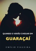 Quando O Verão Chegar Em Guaraçaí (eBook, PDF)