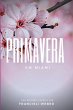 Primavera Em Miami (eBook, PDF) - Bild 1