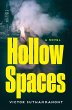 Hollow Spaces (eBook, ePUB) - Bild 1