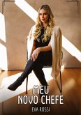 Meu Novo Chefe