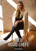 Meu Novo Chefe