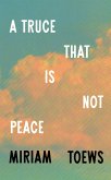 A Truce That Is Not Peace (eBook, ePUB)