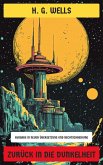 Zurück in die Dunkelheit (eBook, ePUB)