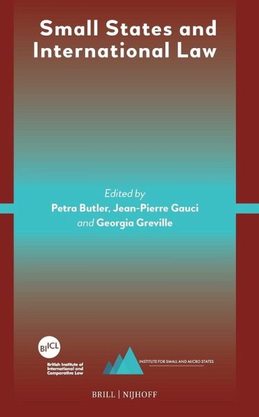 Small States and International Law