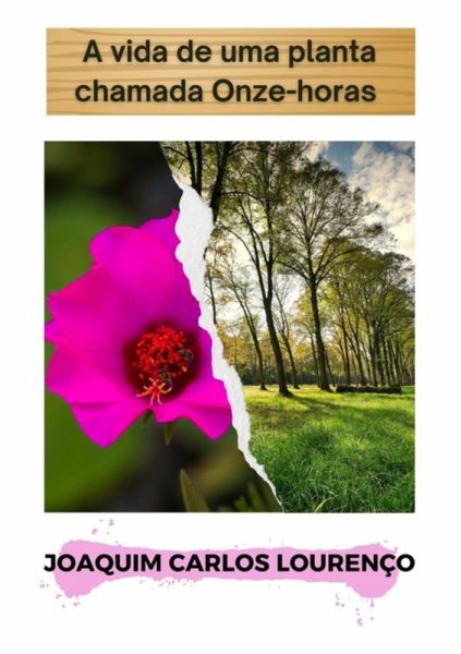 A Vida De Uma Planta Chamada Onze-horas (eBook, ePUB)