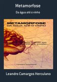 Metamorfose (eBook, PDF)
