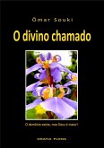 O Divino Chamado (eBook, ePUB)