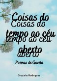 Coisas Do Tempo Ao Céu Aberto (eBook, PDF)
