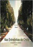 Nas Entrelinhas Do Cristo (eBook, ePUB) Nas Entrelinhas Do Cristo (eBook, ePUB)