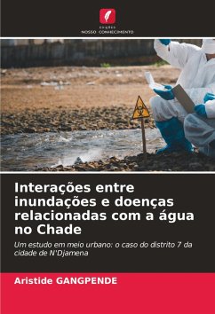 Interações entre inundações e doenças relacionadas com a água no Chade - GANGPENDE, Aristide