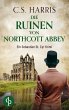 Die Ruinen von Northcott Abbey - Bild 1