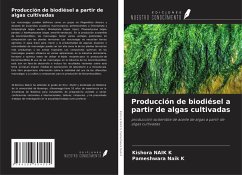Producción de biodiésel a partir de algas cultivadas Cover Producción de biodiésel a partir de algas cultivadas