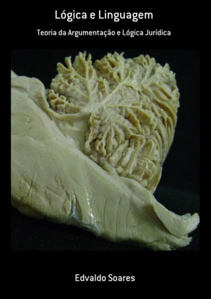 Lógica E Linguagem (eBook, PDF)