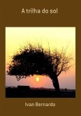 A Trilha Do Sol (eBook, ePUB)