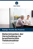 Determinanten der Verschuldung im brasilianischen Telekomsektor Determinanten der Verschuldung im brasilianischen Telekomsektor