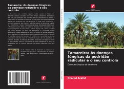 Cover Tamareira