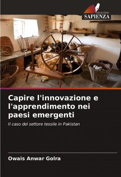 Cover Capire l'innovazione e l'apprendimento nei paesi emergenti