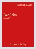 Der Sohn (eBook, ePUB) Der Sohn (eBook, ePUB)