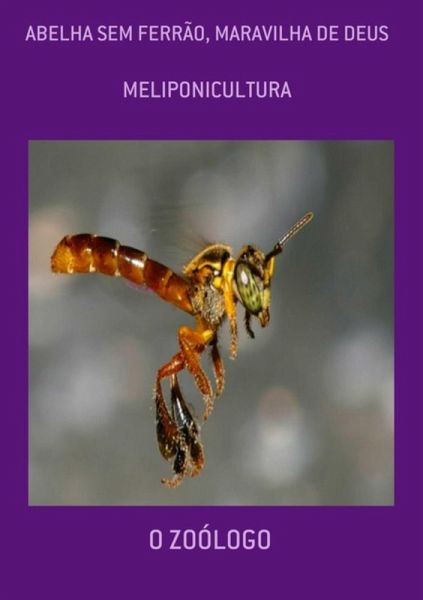 Abelha Sem Ferrão, Maravilha De Deus (eBook, ePUB) Abelha Sem Ferrão, Maravilha De Deus (eBook, ePUB)