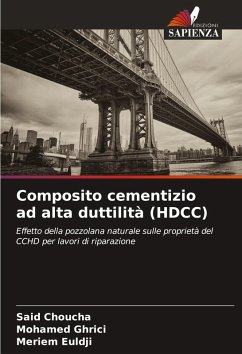 Cover Composito cementizio ad alta duttilità (HDCC)