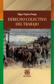Derecho colectivo del trabajo (eBook, PDF)