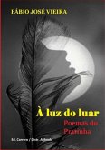 À Luz Do Luar (eBook, PDF)