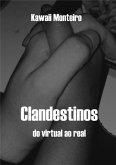 Clandestinos (eBook, ePUB)