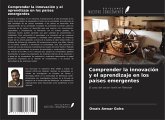 Comprender la innovación y el aprendizaje en los países emergentes