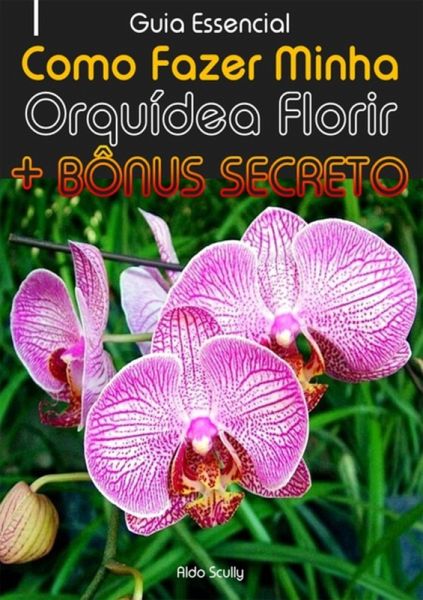 Como Fazer Minha Orquídea Florir (eBook, ePUB)