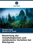 Bewertung der morphologischen und molekularen Variation bei Blackgram Bewertung der morphologischen und molekularen Variation bei Blackgram