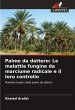 Palme da dattero: Le malattie fungine... - Bild 1